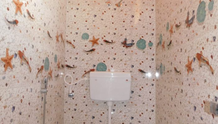 WhatsApp Image 2025-09-11 at 12.35.52.jpeg